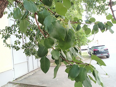 Обзор планшета Digma Pro Empire Обзор планшета Digma Pro Empire