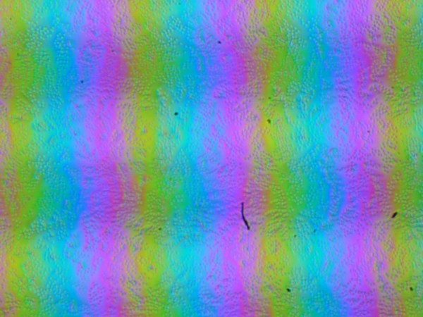 Обзор игрового ноутбука Asus ROG Strix Scar 18 G835LX с Intel Core Ultra 9 275HX и Nvidia GeForce RTX 5090 Laptop