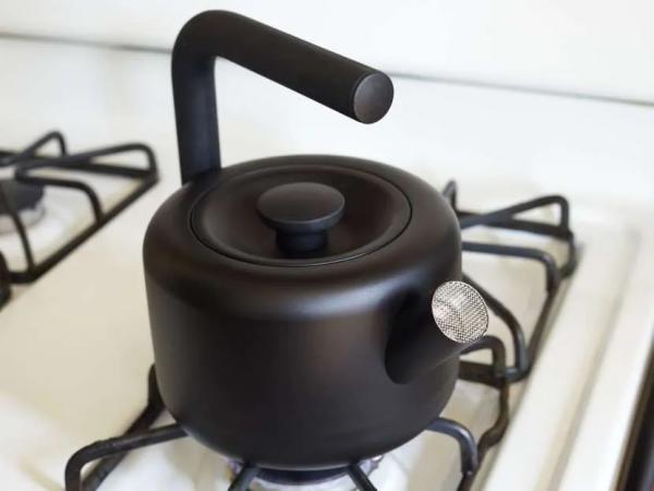 Какой чайник лучше купить для газовой плиты: выбор подходящей модели по критериям и рейтингу Какой чайник лучше купить для газовой плиты: выбор подходящей модели по критериям и рейтингу