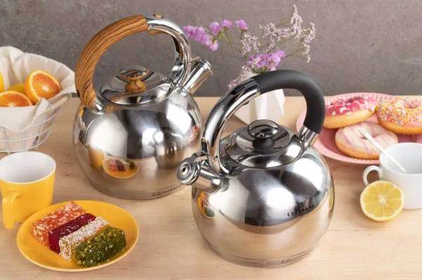 Какой чайник лучше купить для газовой плиты: выбор подходящей модели по критериям и рейтингу Какой чайник лучше купить для газовой плиты: выбор подходящей модели по критериям и рейтингу