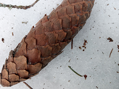 Обзор 12-дюймового планшета Teclast T60 Plus Обзор 12-дюймового планшета Teclast T60 Plus