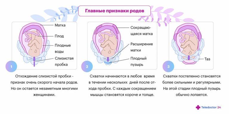 Основные признаки приближающихся родов