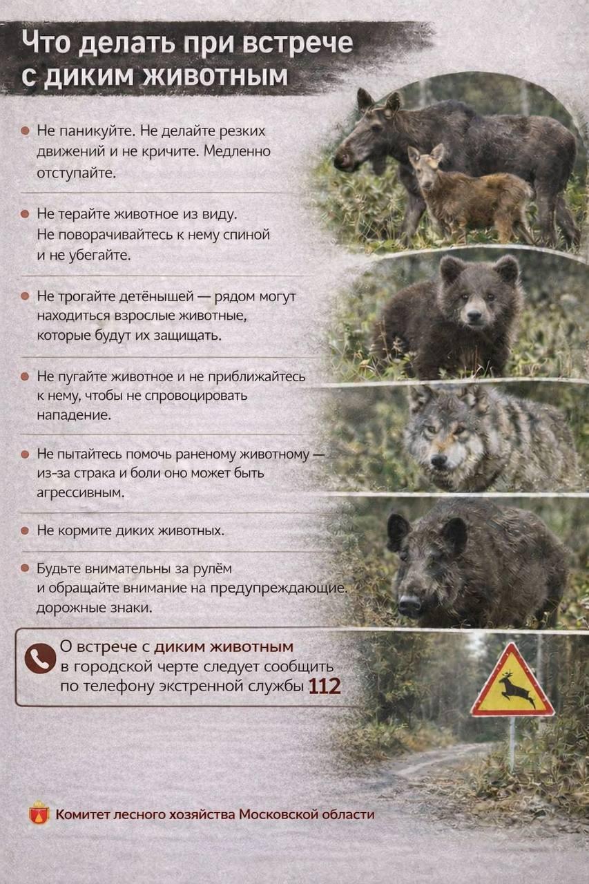 Единый тариф на услугу регионального оператора по обращению с твердыми коммунальными отходами » Администрация Городского округа Коломна Московской области