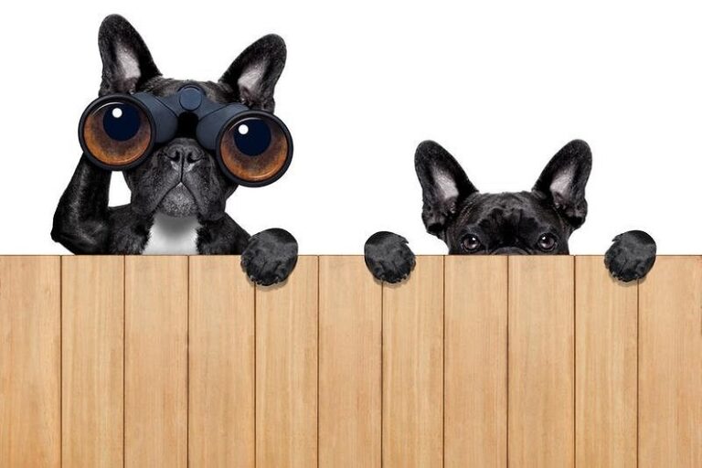 Смартфон следит за вами: отключаем функции слежения Android |