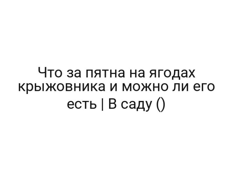 Что за пятна на ягодах крыжовника и можно ли его есть | В саду ()